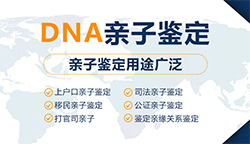 江苏省刚怀孕如何办理孕期亲子鉴定，江苏省做无创怀孕亲子鉴定大概多少费用