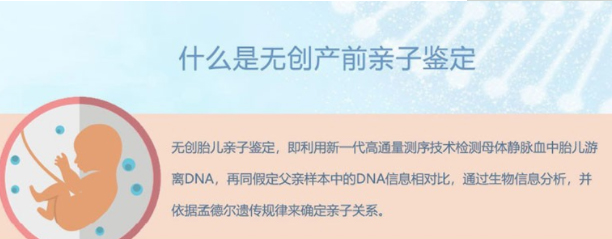江苏省胎儿亲子鉴定中心大概几天出报告,